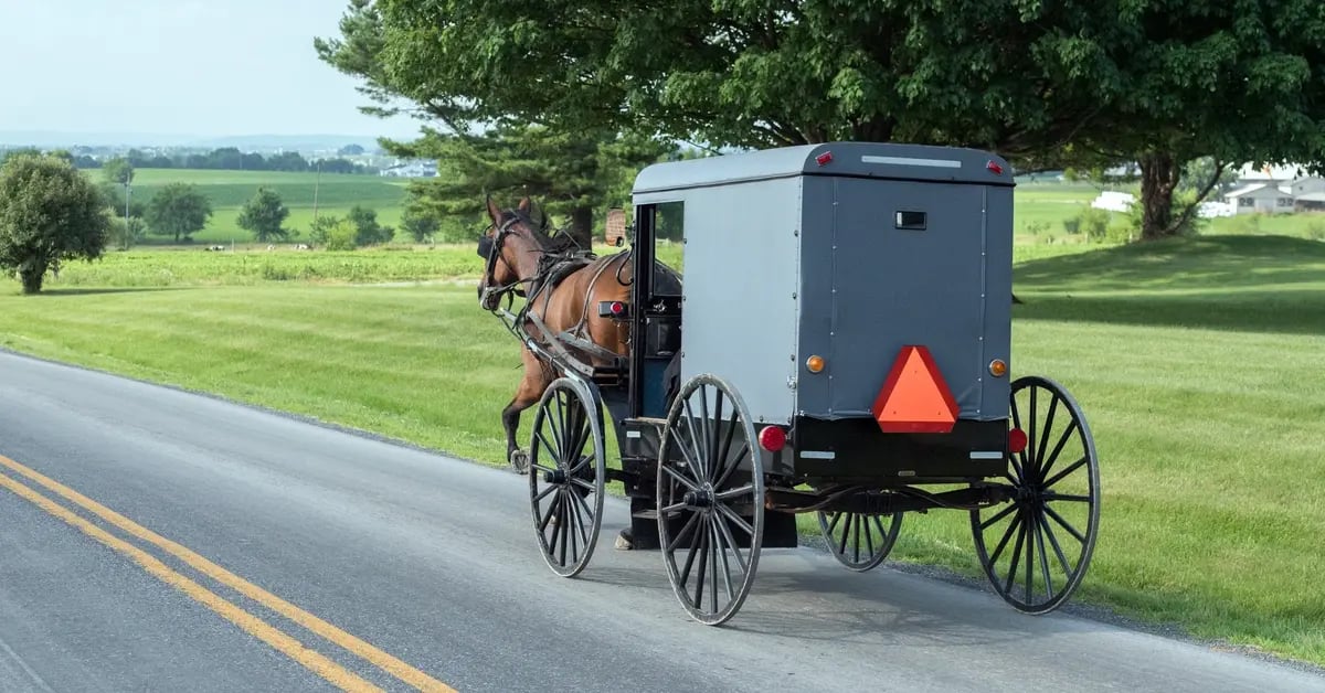 Amish buggy on the road