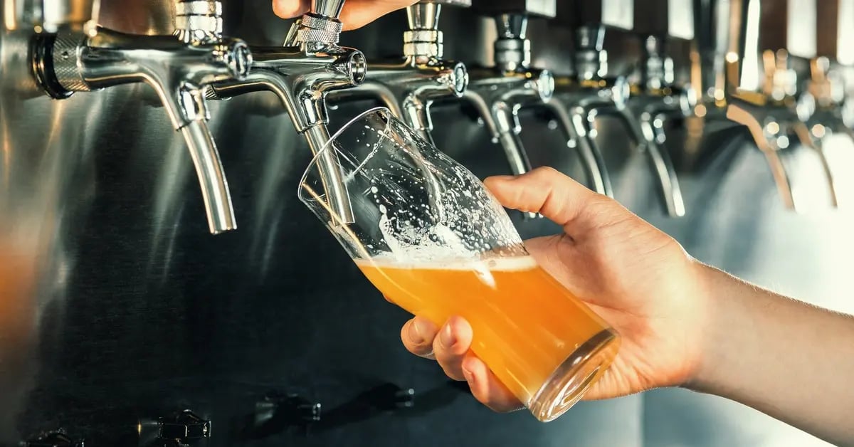 Bar tender pouring beer